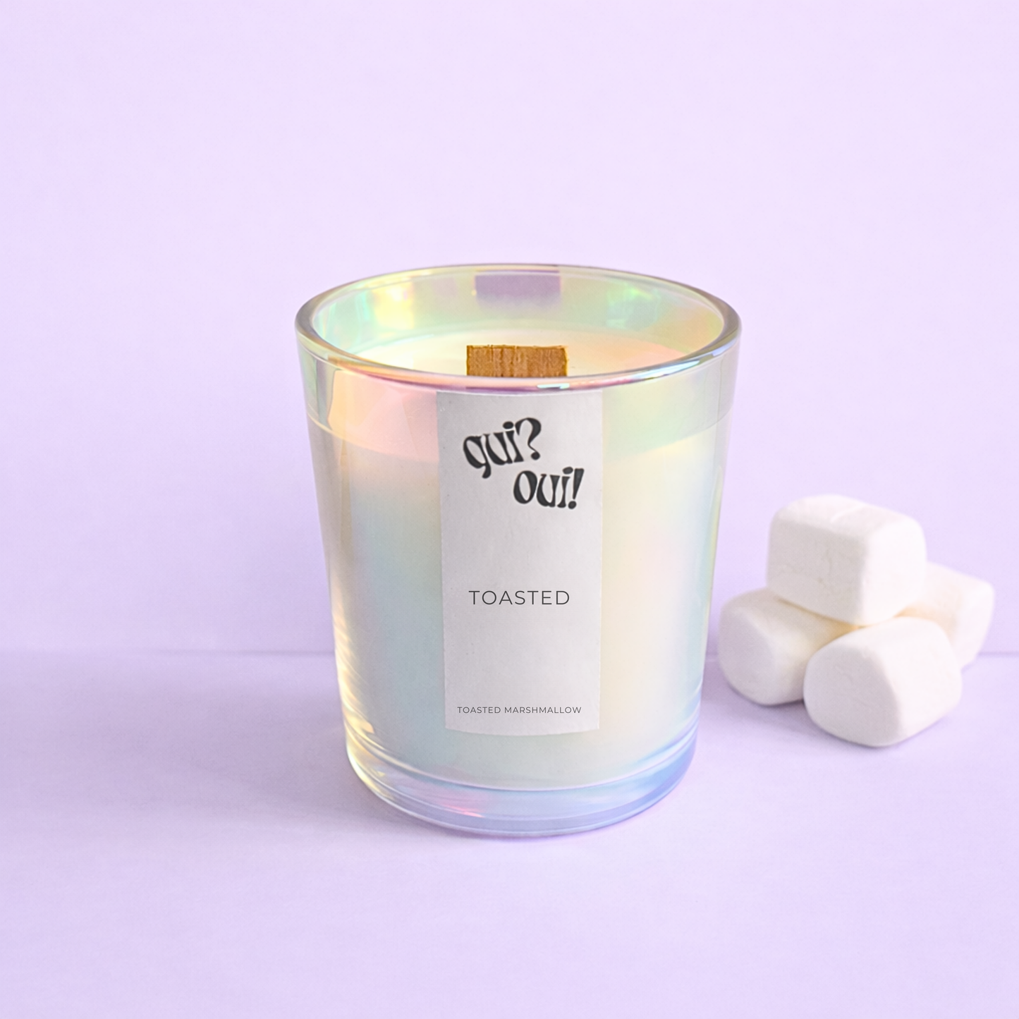 TOASTED | marshmallow coconut wax candle