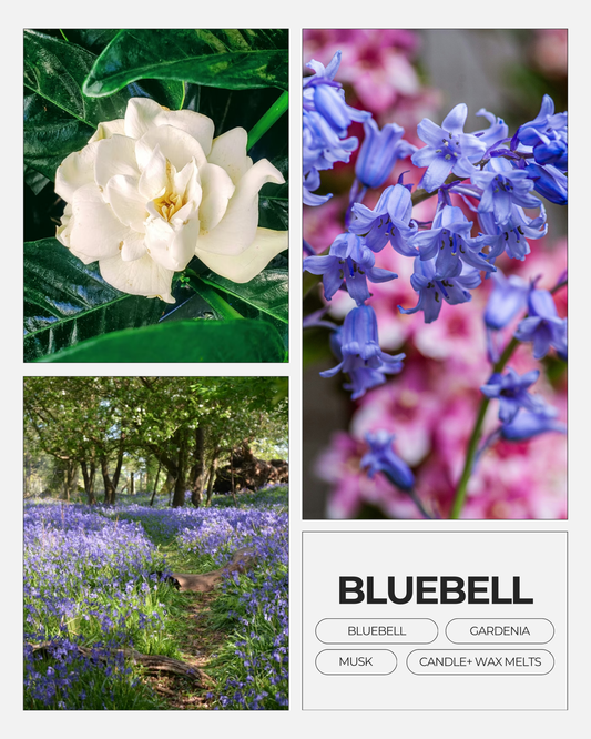 Bluebell Candle