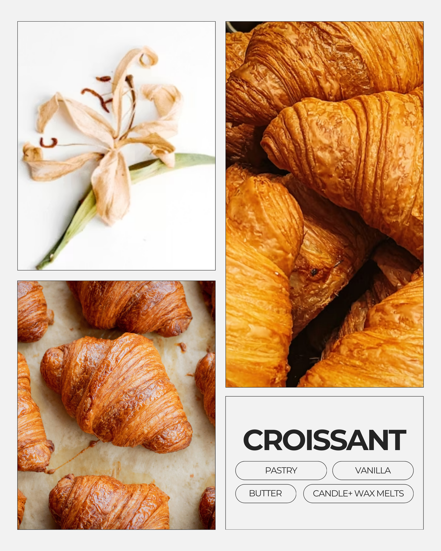 Croissant Wax Melts