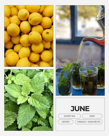 June Wax Melts